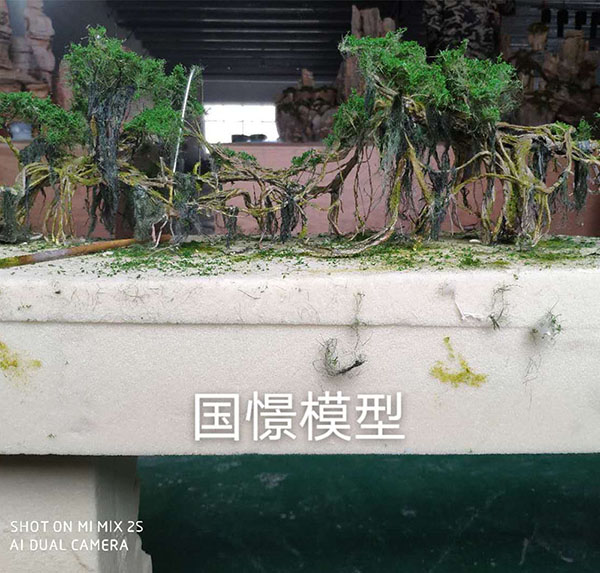 石棉县场景模型