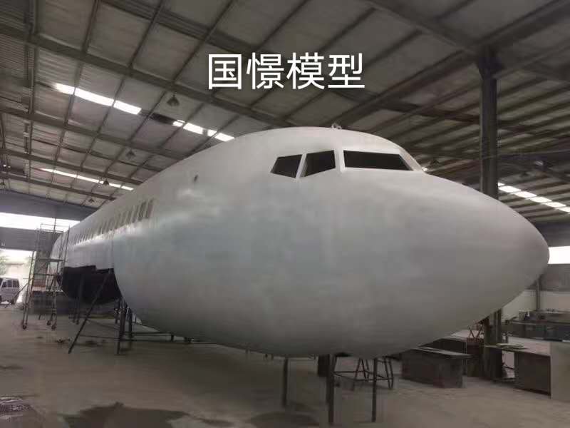 石棉县大型仿真模型道具