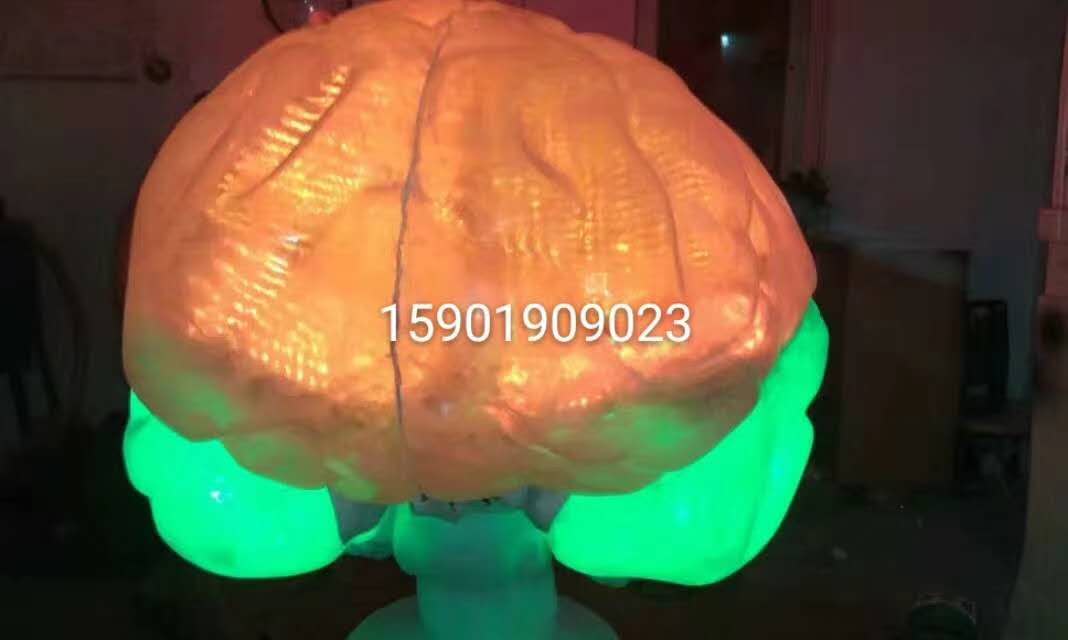 石棉县大型仿真模型道具