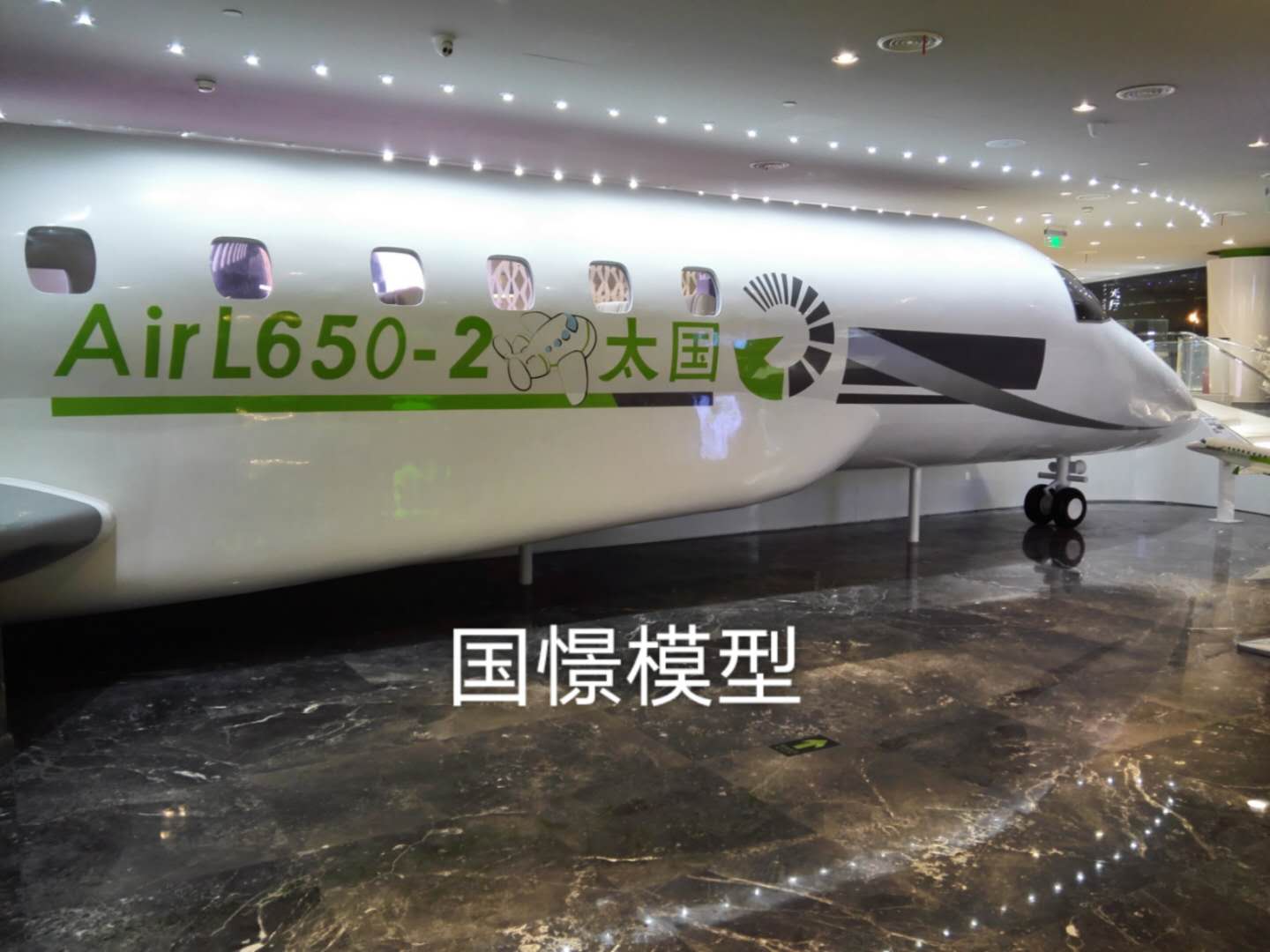 石棉县大型仿真模型道具